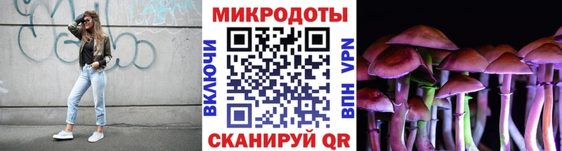 Галлюциногенные грибы Cubensis  цена наркотик  Котлас 